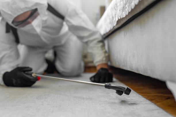 Professional Pest Control technician working in Cleburne County County, AR